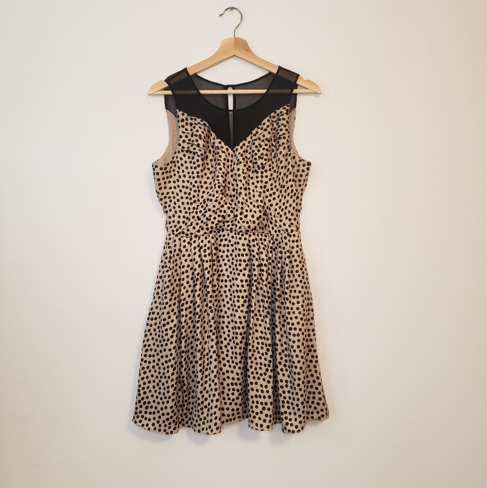 BCBGeneration Black and Tan Polka Dot Mini Dress